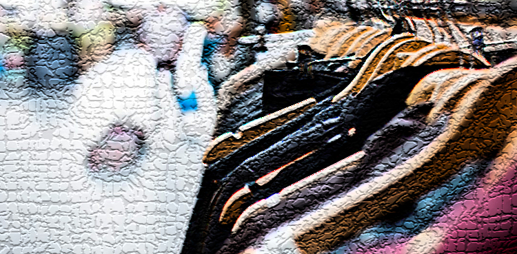 designer fashion collection