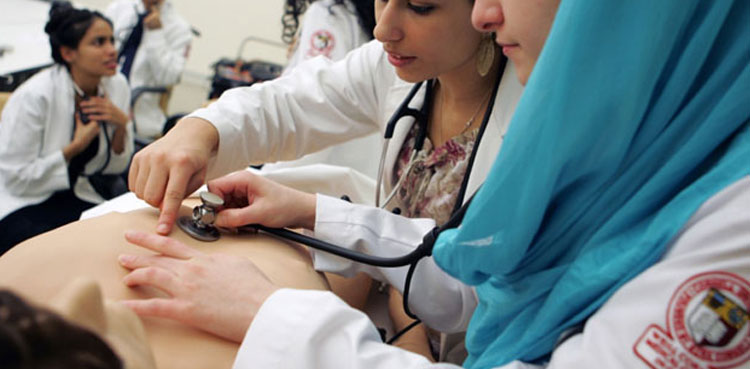 medical staff health department murad ali shah