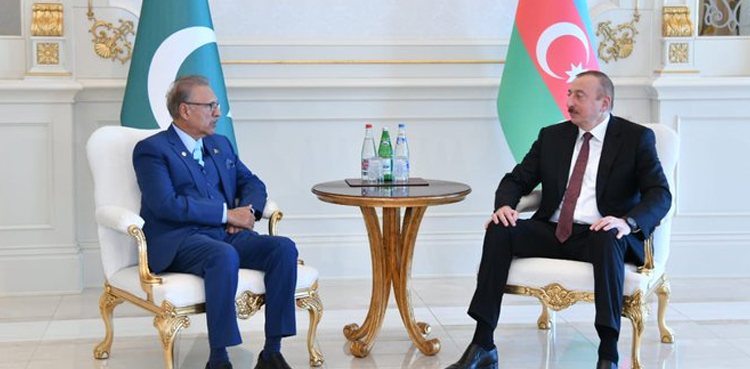 Alvi