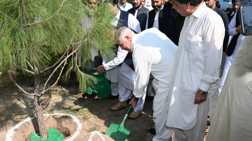 CM Mahmood