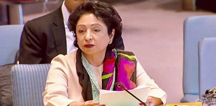 Maleeha Lodhi