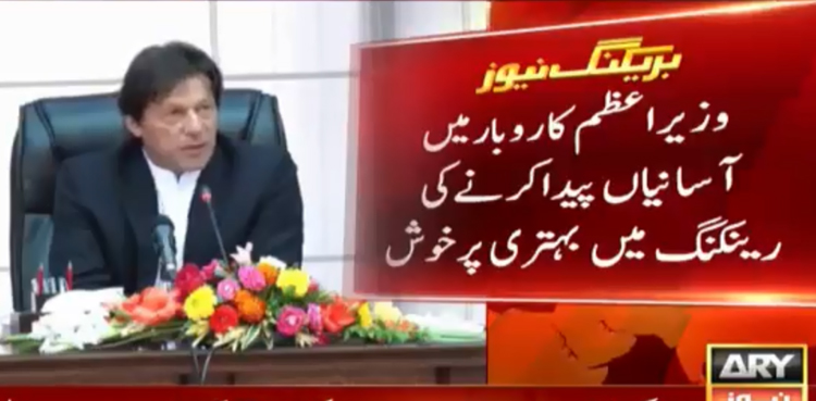PM Imran Khan economic team