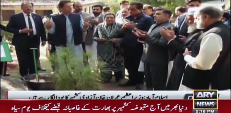PM Imran Khan, Kashmir Freedom Tree, Black Day, Kashmir