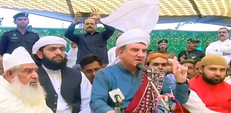 FM Qureshi, Kashmir, Occupied Kashmir, Indian Occupied Kashmir, Kashmir