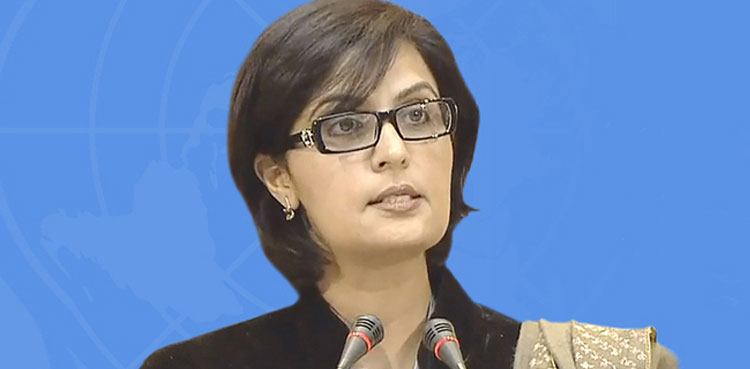 Sania Nishtar bisp chairperson resign