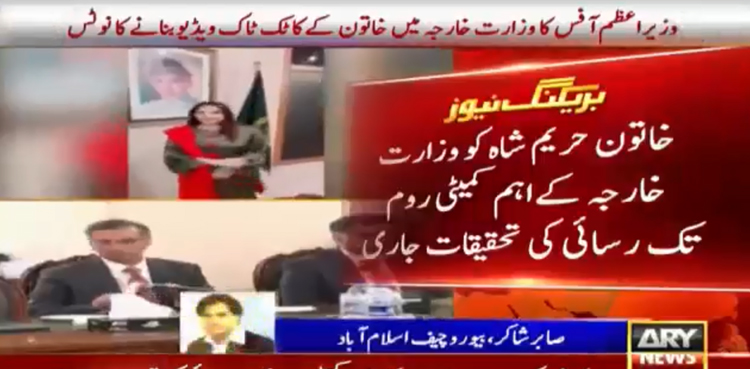 TikTok video in Foreign Ministry