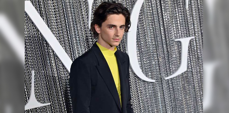 Timothee Chalamet, Henry V, The King, Hollywood