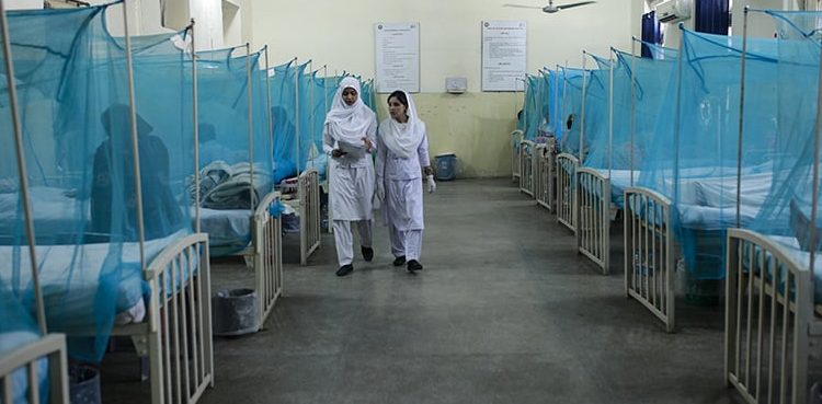 Punjab dengue cases, two deaths
