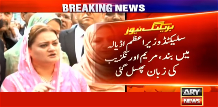 Marriyum Auranzeb, slip of tongue