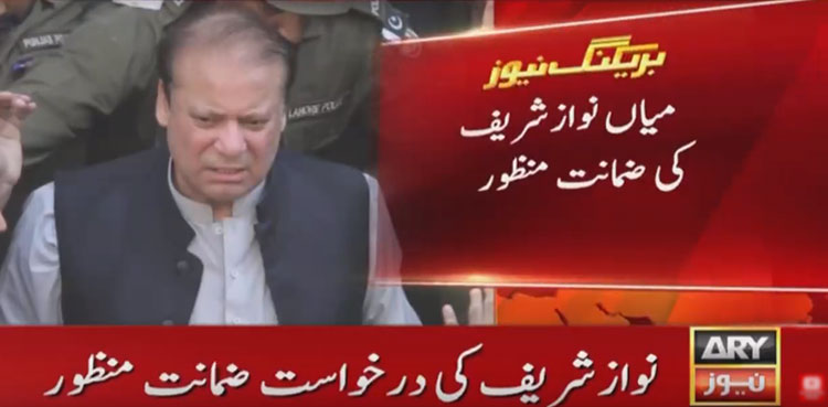 Nawaz Sharif, Bail, LHC, Lahore High Court, Chaudhry Sugar Mills Case