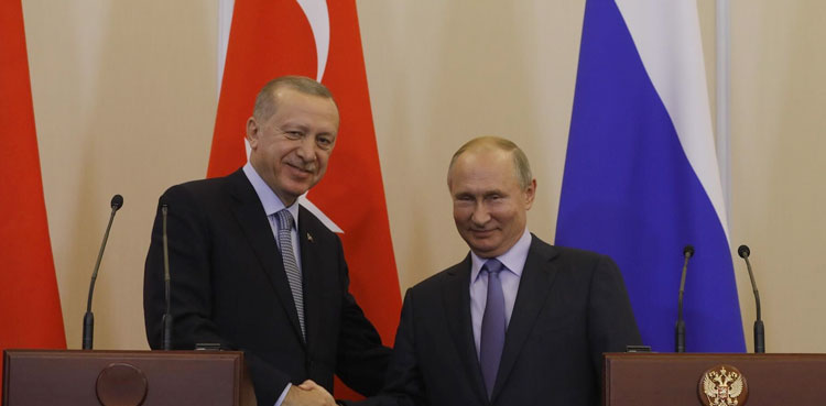 Erdogan Putin, Ukraine ceasefire