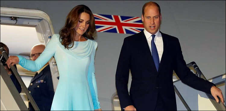 Prince William Earthshot environmental prize