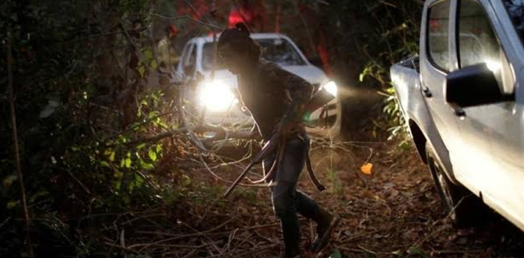 Guardian of the forest Amazon ambush