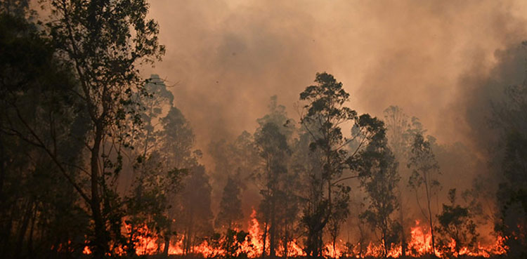 Australia fire