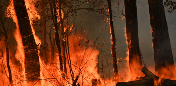 Australia bushfire