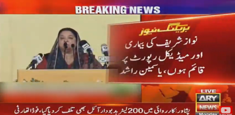 Yasmeen Rashid