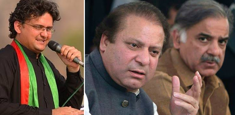 Faisal Javed surety bonds