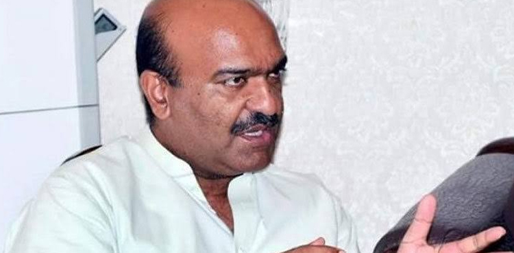 Asif Ali Zardari Presidency, Nadeem Afzal Chan
