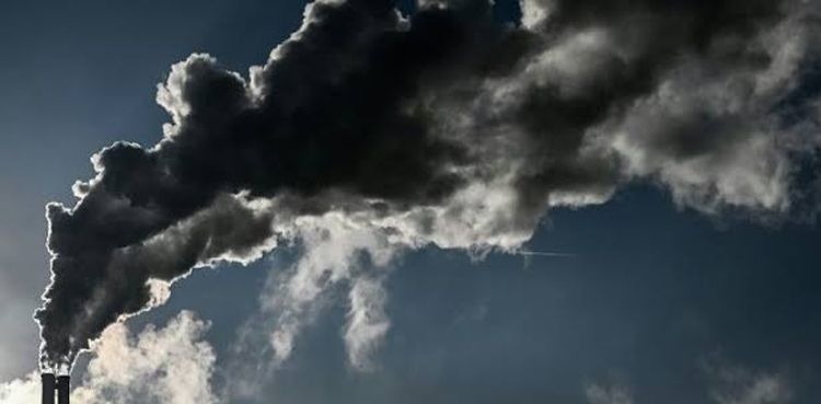 New Zealand zero carbon climate law