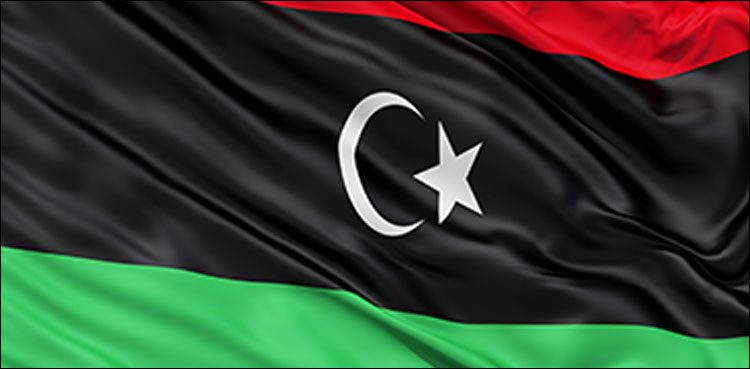 long march, PDM, PPP