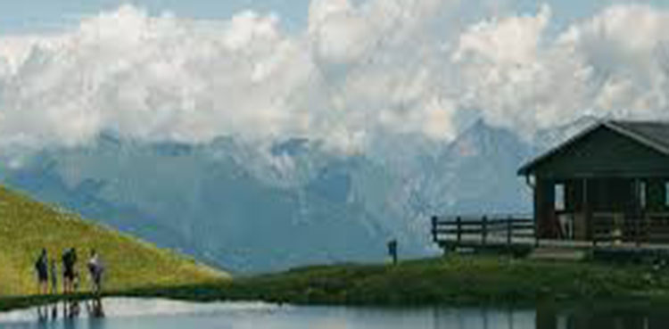Switzerland cashless society Free Switzerland Movement