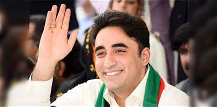 Bilawal, Zardari, Legislation