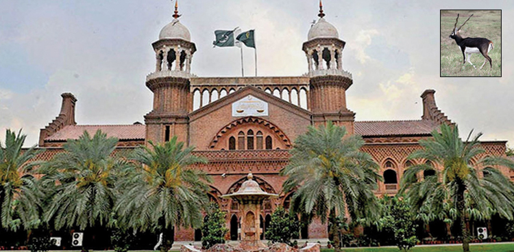 LHC, black bucks, hunting ban