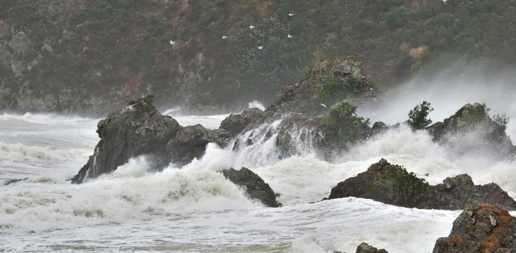 Cyclone Maha, Karachi, Gujarat