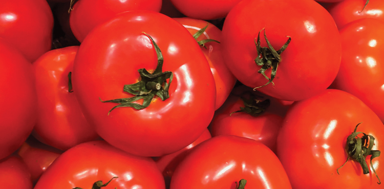 McDonald's drops tomatoes