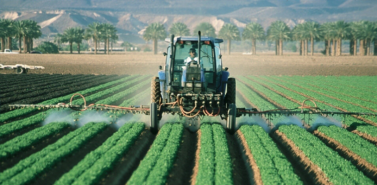 EU bans controversial pesticide