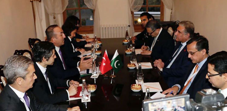 FM Qureshi