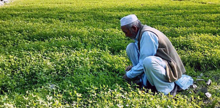 Fertiliser, Fertiliser Review Committee