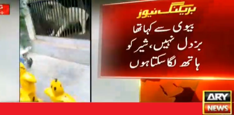 Karachi lion attack