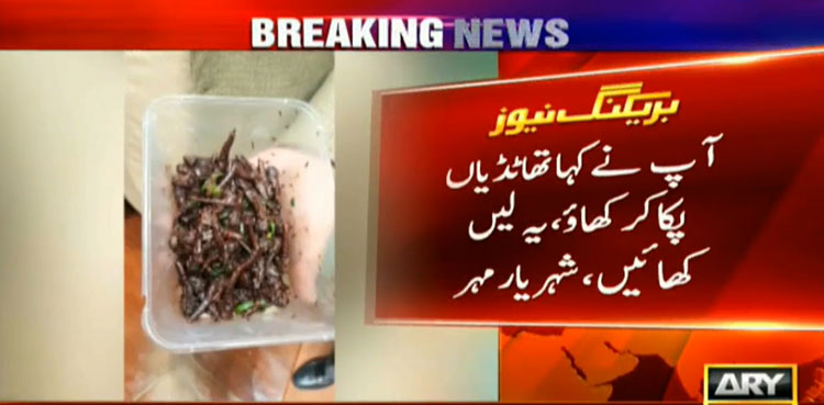 Locusts