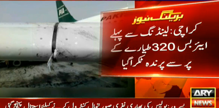PIA plane bird strike Karachi airport