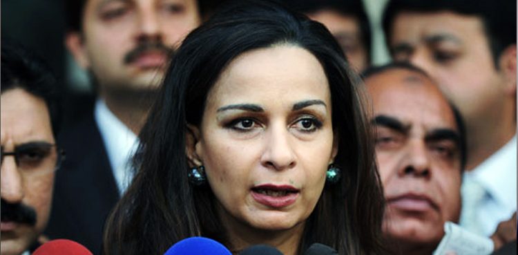 rainfall, eidul azha, animals sacrifice, sherry rehman,