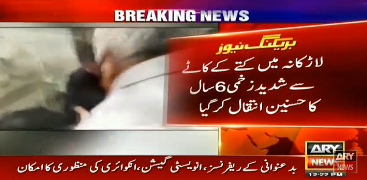 Larkana Dog Bite Victim