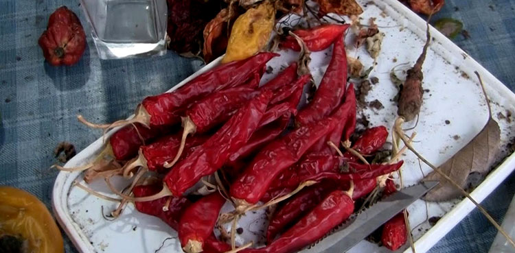 World's-hottest-peppers
