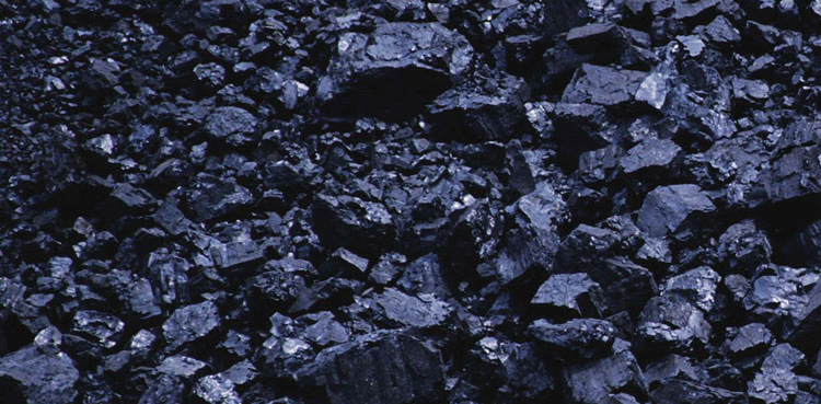 NEPRA, Thar Coal, coal power plants