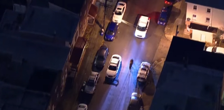 Escaped horse police pursuit