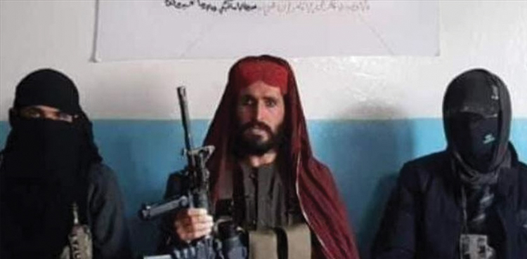 Saifullah Mehsud Killed