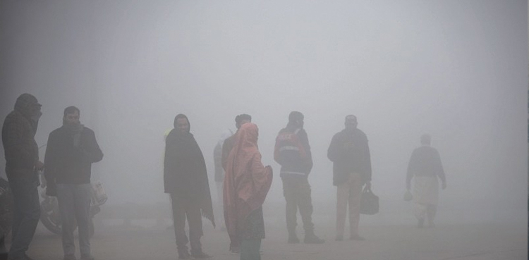 smog, LHC, health allowance, traffic wardens