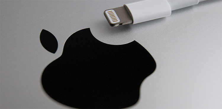 European Apple single charger