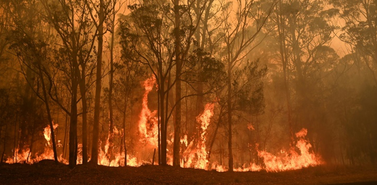 Australia bushfire funds