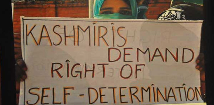 Kashmir, Right to Self-Determination Day