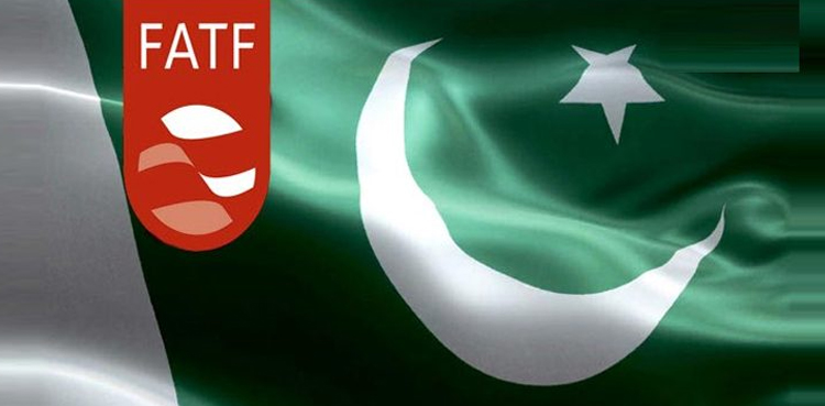 Pakistan Efforts CTF Regime