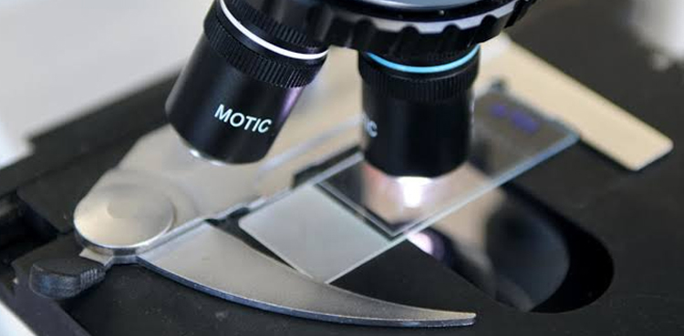 Scientists powerhouses tumours cancer treatment
