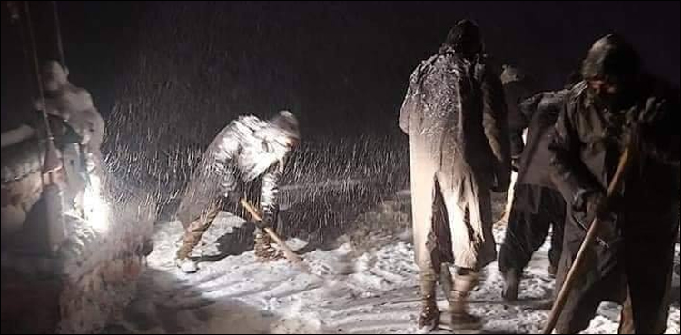 28 dead snowfall rain