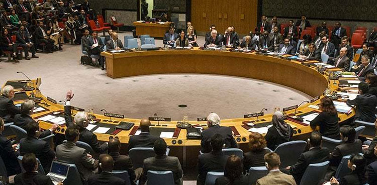 UNSC coronavirus talks