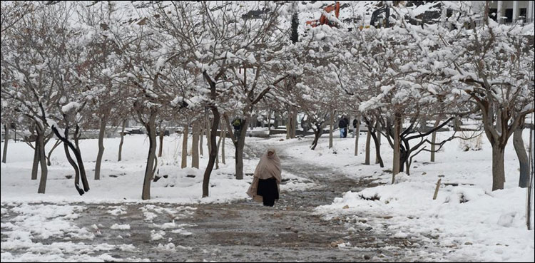 Pdma, rain snowfall alert
